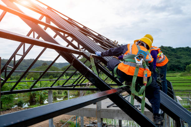 Best Metal Roofing Contractor  in Waite Park, MN