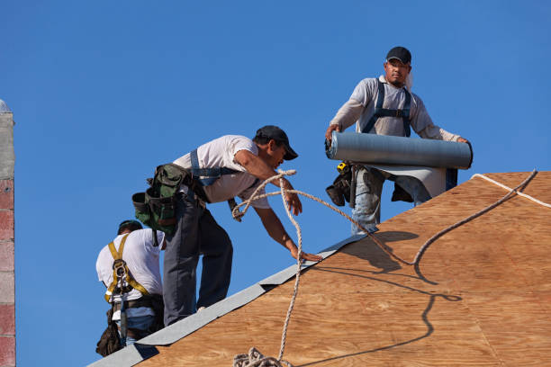 Best Residential Roofing Contractor  in Waite Park, MN